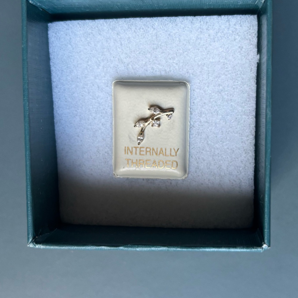 Banter cartilage gold earring